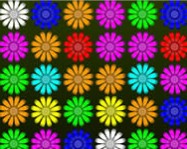 Flower action online